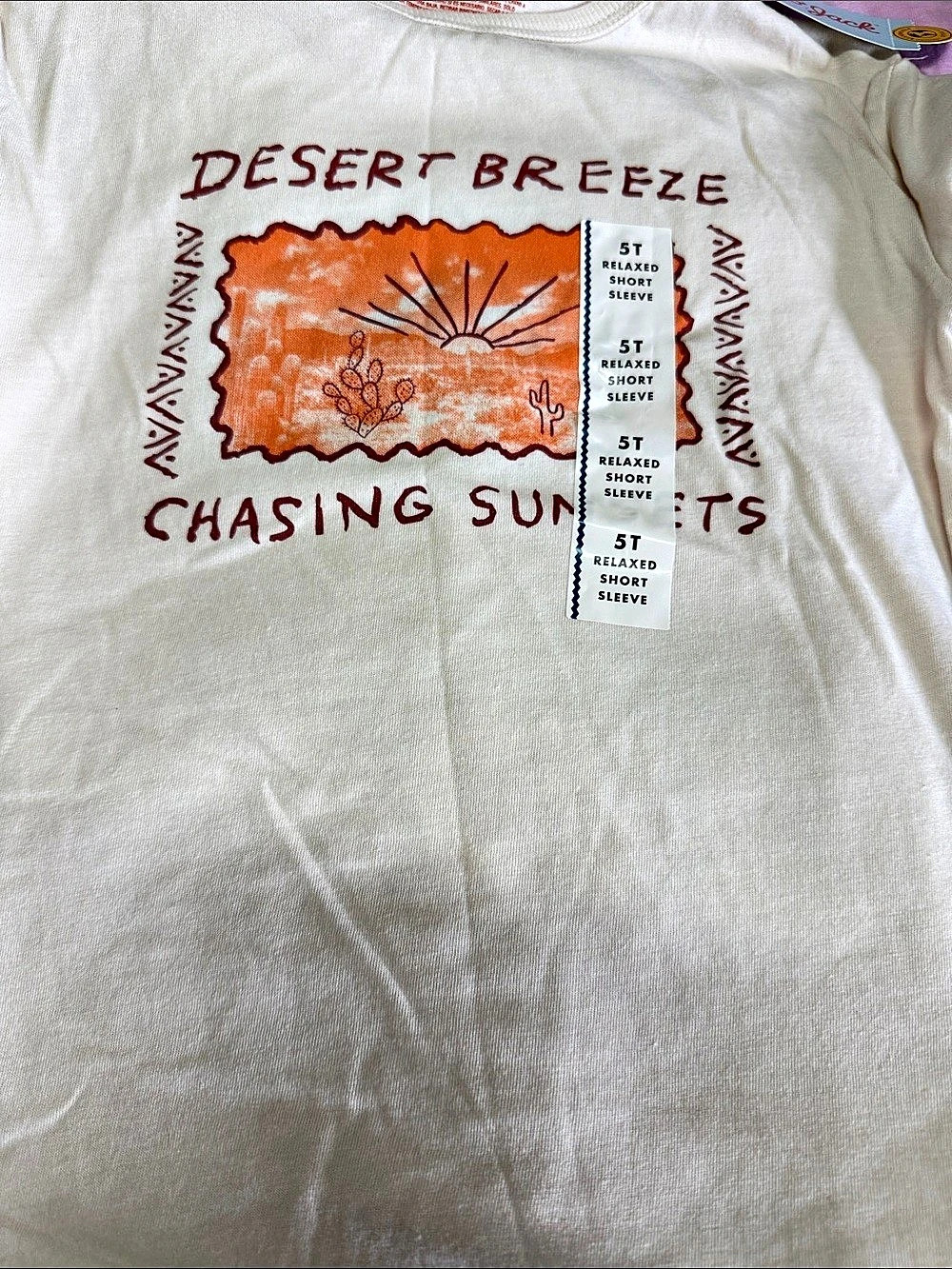Cat & Jack Desert Breeze Chasing Sunsets Graphic Tee Boys 5T